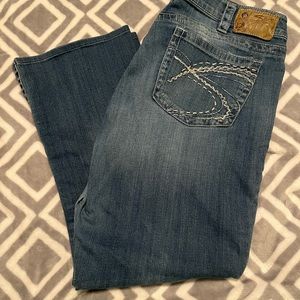 Silver Aiko Bootcut Jeans 20x26